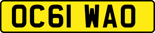 OC61WAO