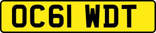 OC61WDT