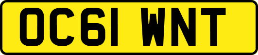 OC61WNT