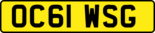 OC61WSG