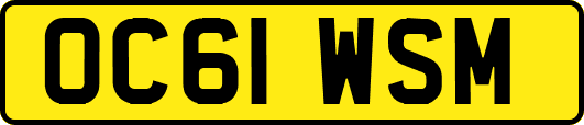 OC61WSM