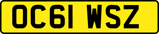 OC61WSZ
