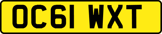 OC61WXT