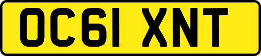 OC61XNT