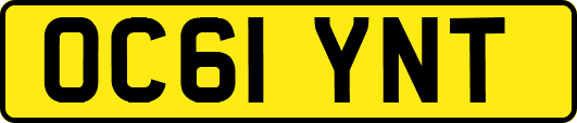 OC61YNT
