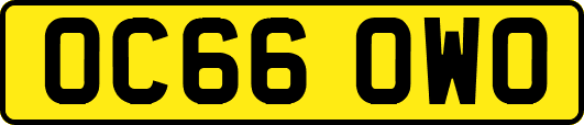 OC66OWO