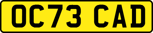 OC73CAD