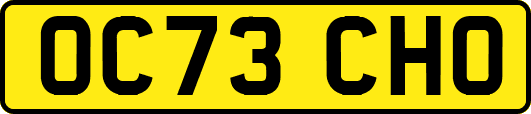 OC73CHO