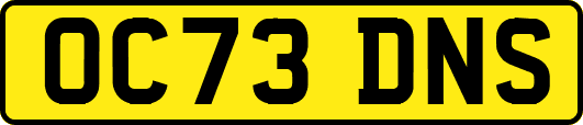OC73DNS