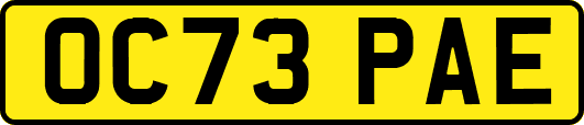 OC73PAE