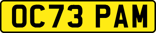 OC73PAM