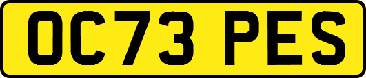 OC73PES