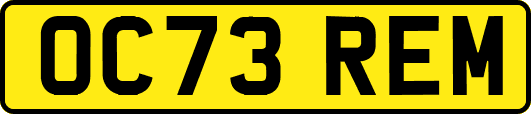 OC73REM