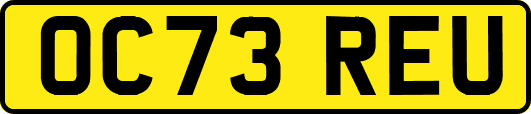 OC73REU
