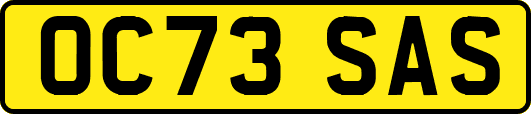 OC73SAS