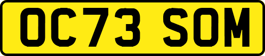 OC73SOM