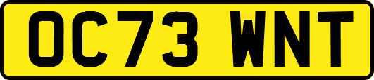 OC73WNT