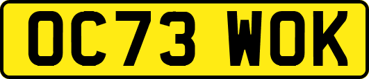 OC73WOK