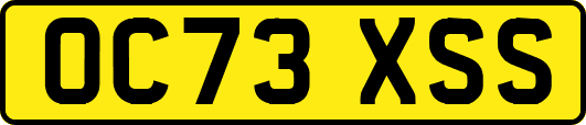 OC73XSS