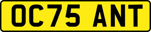 OC75ANT