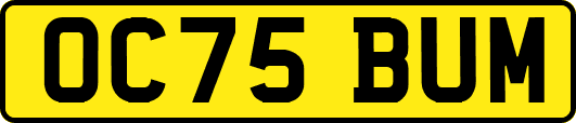 OC75BUM