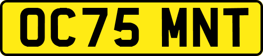 OC75MNT
