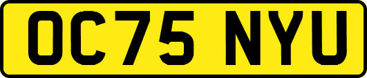 OC75NYU