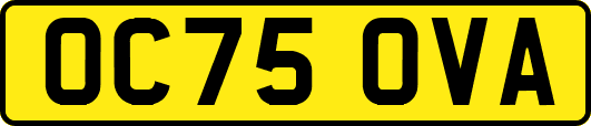OC75OVA