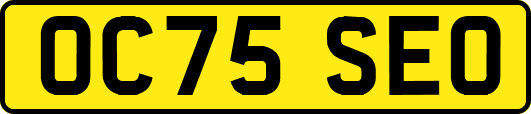 OC75SEO