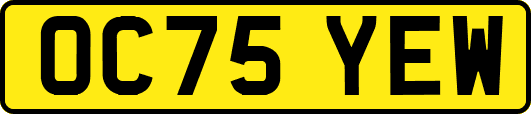 OC75YEW