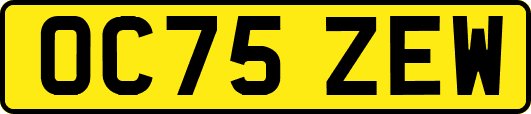 OC75ZEW
