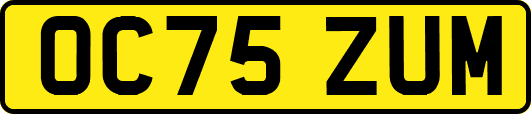 OC75ZUM