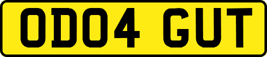OD04GUT