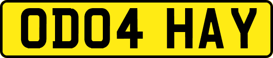 OD04HAY