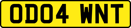 OD04WNT