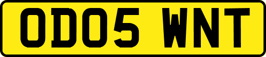 OD05WNT