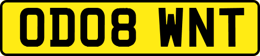 OD08WNT
