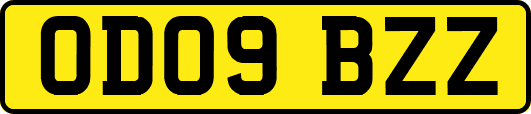 OD09BZZ