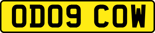 OD09COW