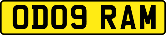 OD09RAM