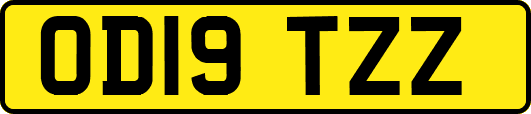 OD19TZZ