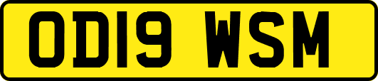 OD19WSM