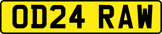 OD24RAW