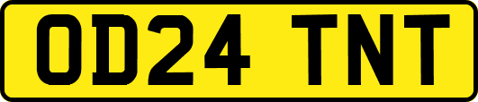 OD24TNT