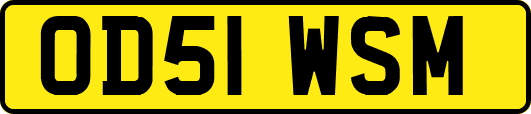 OD51WSM