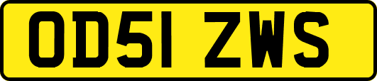OD51ZWS
