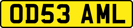 OD53AML