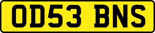 OD53BNS