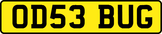 OD53BUG