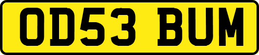 OD53BUM